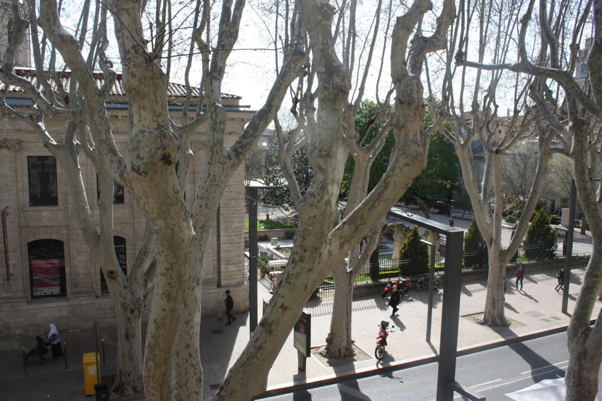 Hotel Alizea Avignon Bagian luar foto